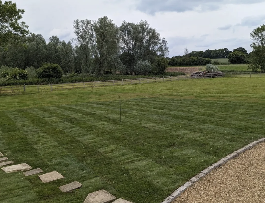 Turfing & Lawn Transformations project