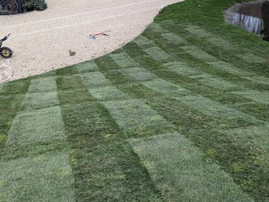 Turfing & Lawn Transformations project