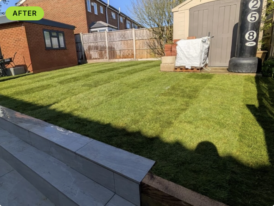 Garden after transformation