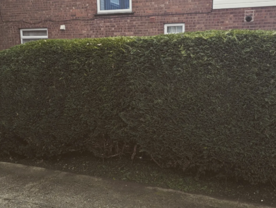 Garden Maintenance project