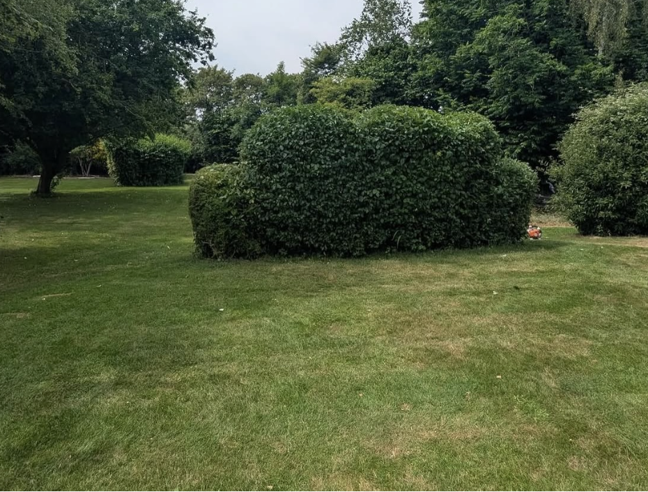 Garden Maintenance project